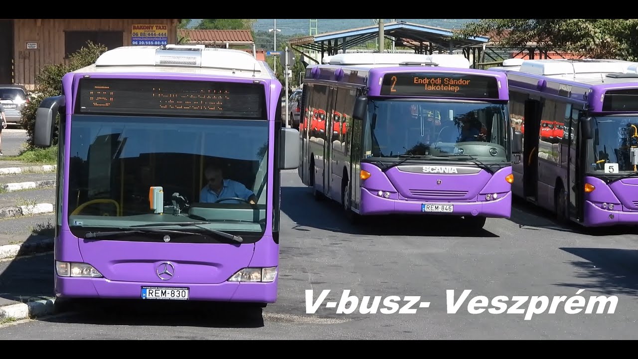Автобусы V-Bus (4K) Веспрем 2020