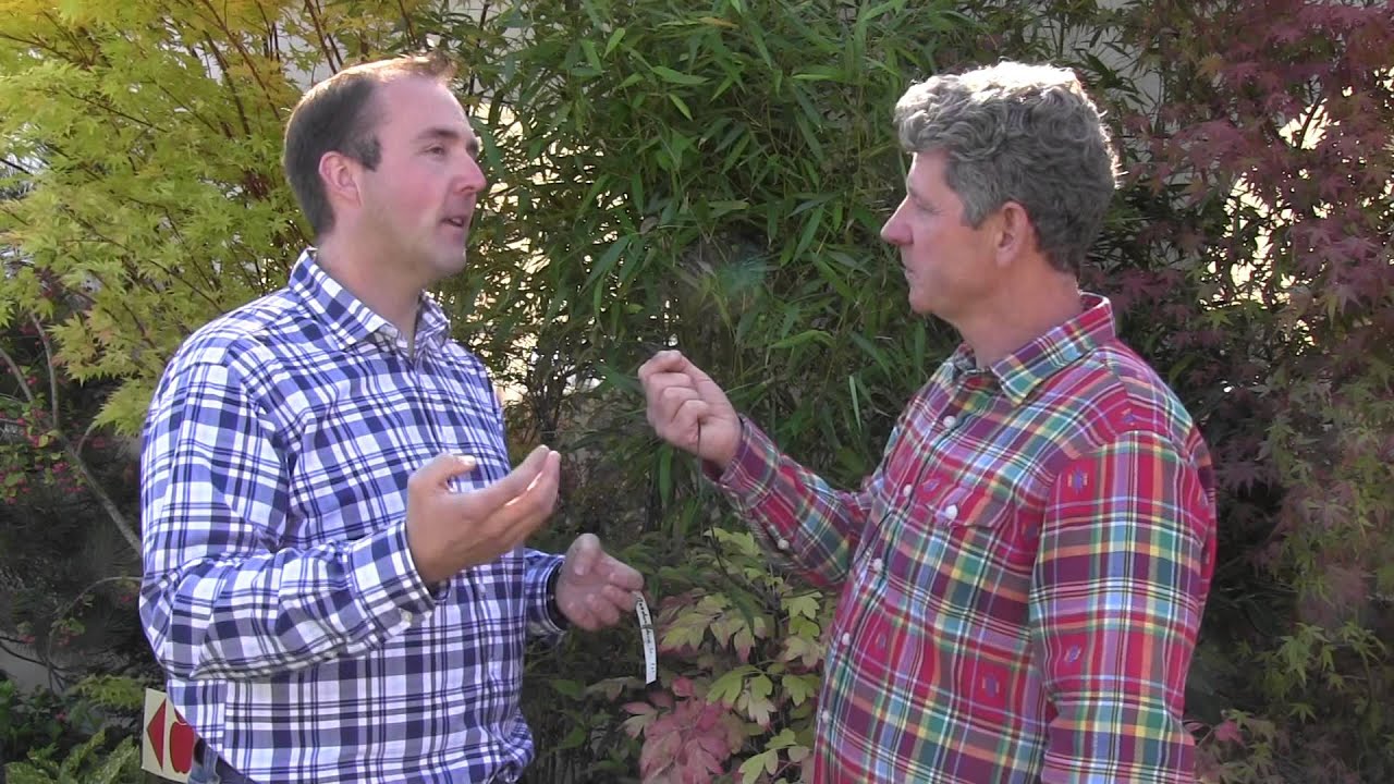 Giant Vegetable Community Malvern Autumn Show 2015