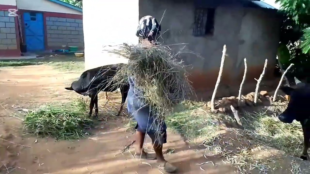 Africa,,Kenya// simple life
