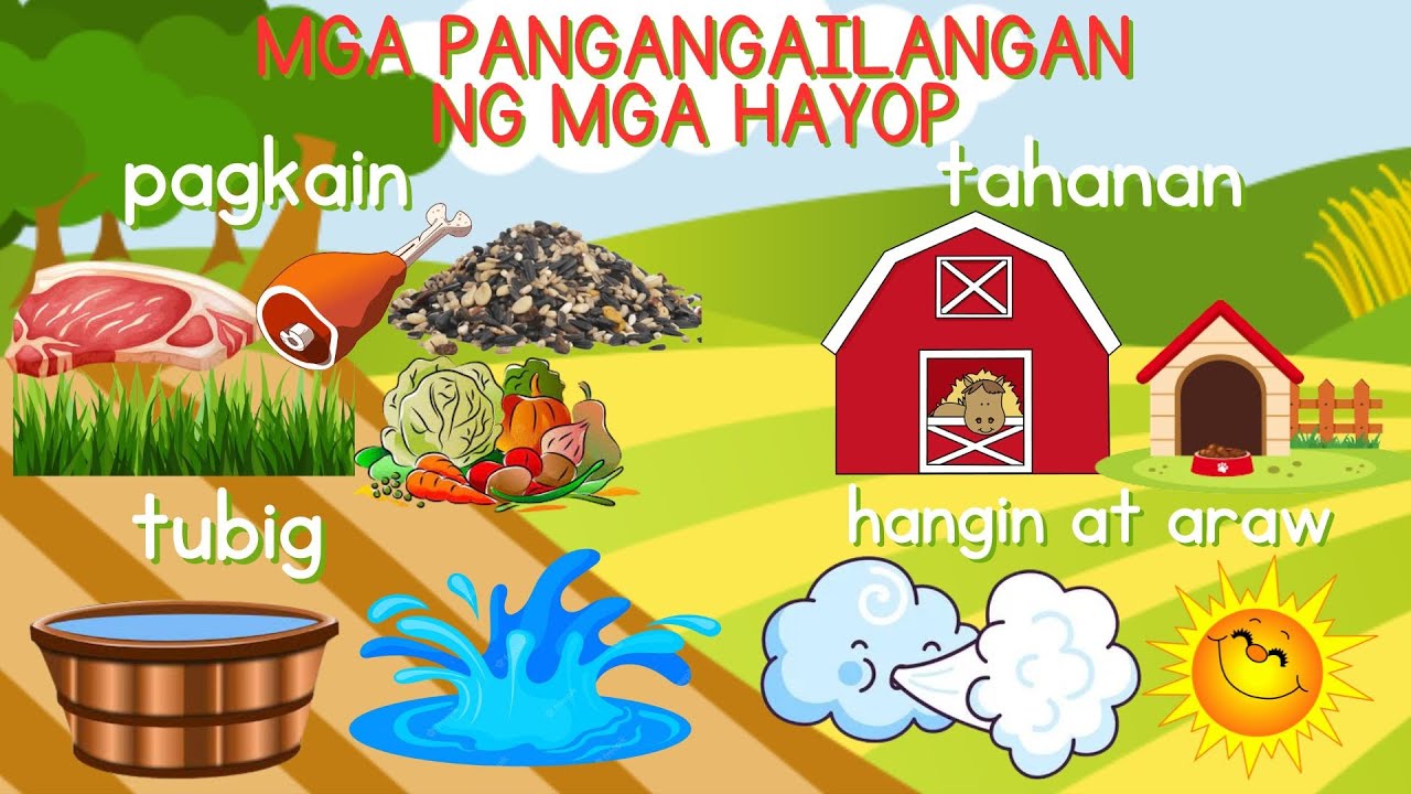 MGA PANGANGAILANGAN NG HAYOP| 4th Quarter Week 1| Kindergarten| DBOW| Cher Daryl