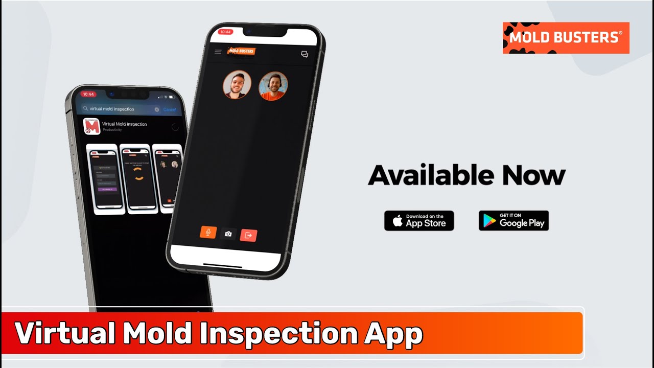 Virtual Mold Inspection App - Mold Busters 📲 Download Now📲