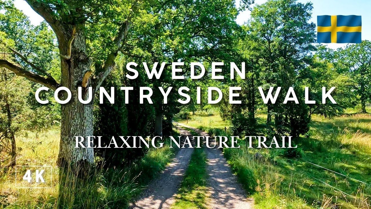 Summer Countryside Nature Walk in Sweden | 4K Video Virtual Walk on a Sunny Day