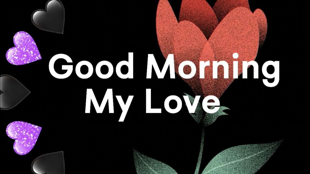 Good Morning, My Love😍❤️💞