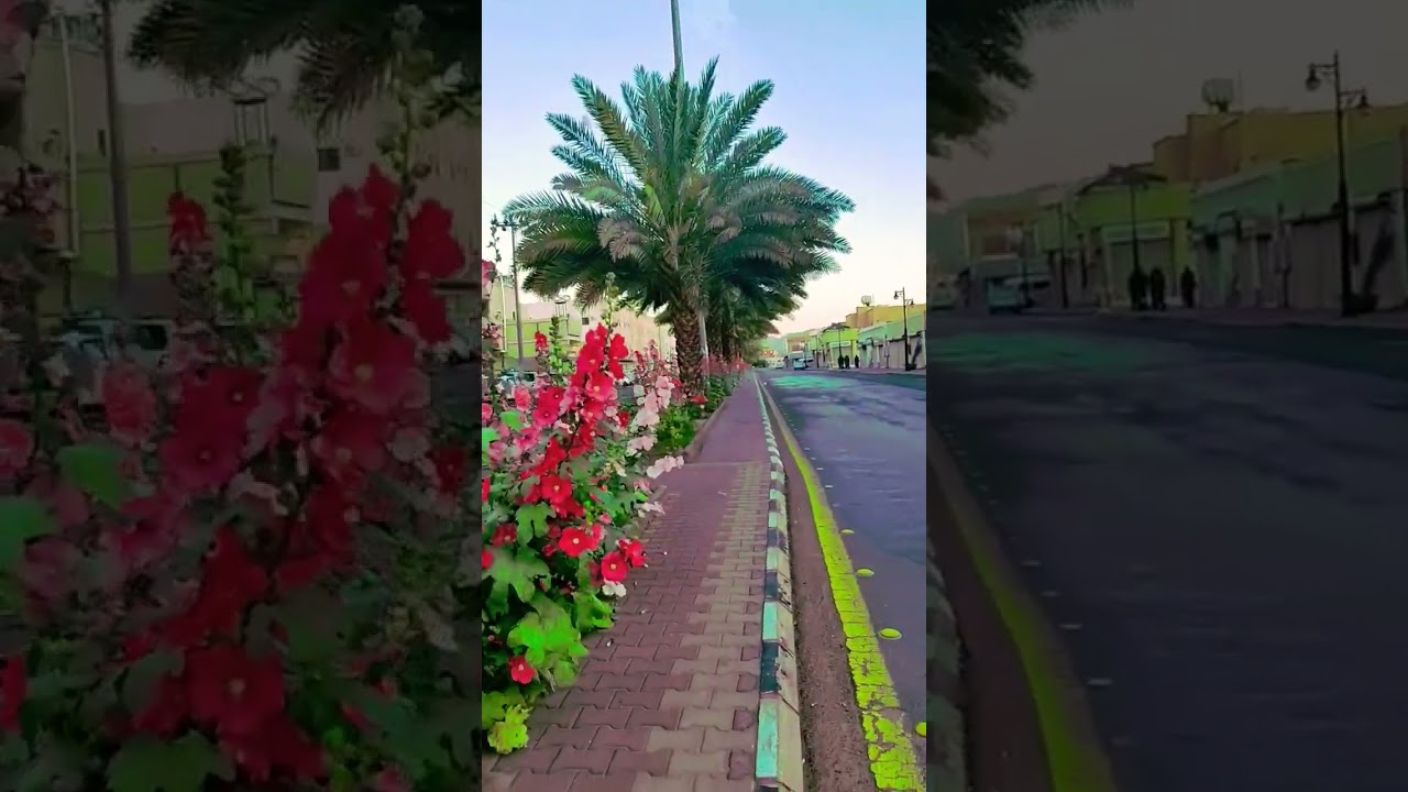 #youtubeshorts#video# viral#alulamoments#sadan#resort#