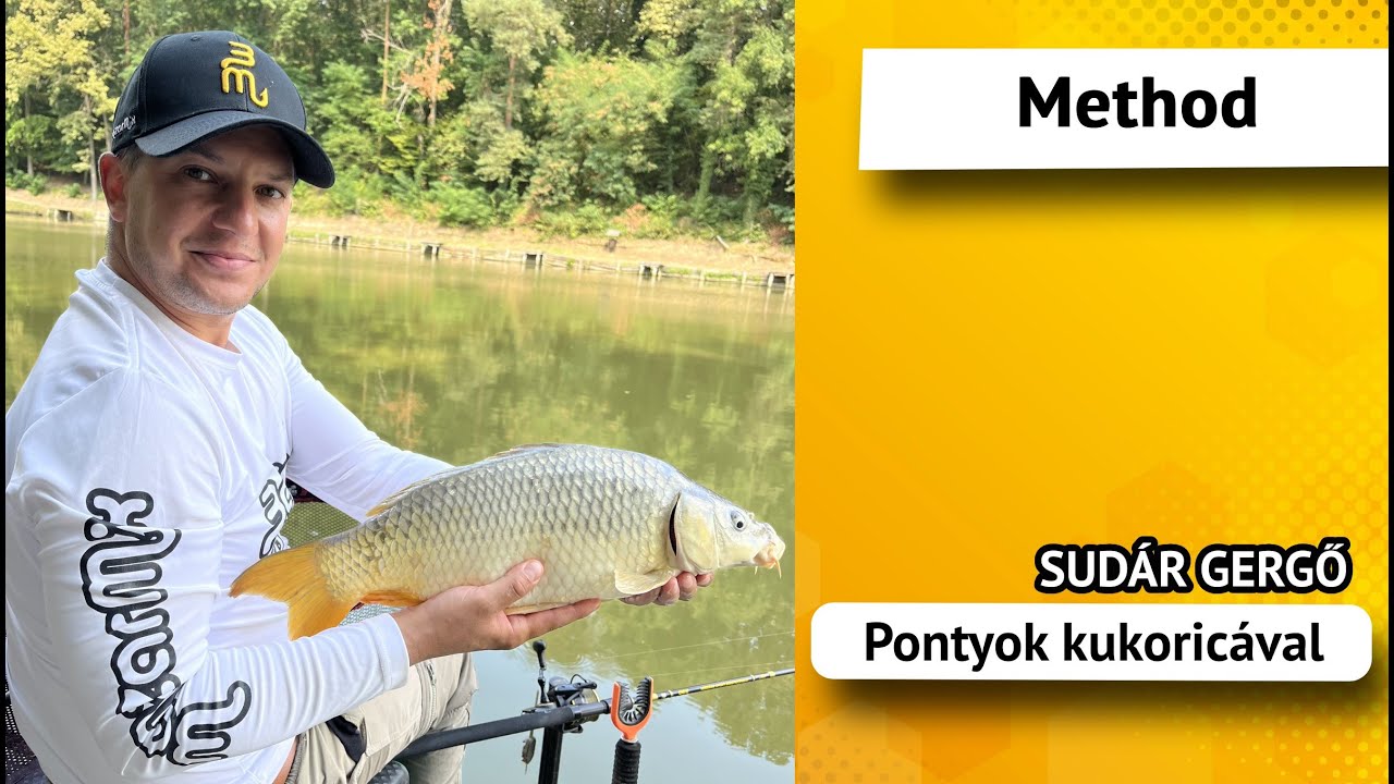 Pontyok a 