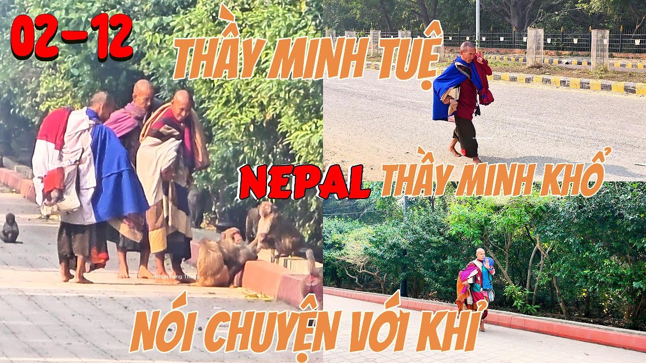 Thầy Minh Tuệ Nói Chuyện Với KHỈ -Trên Đường Bộ Hành Về Nơi An Trú Cùng 2 Sư Minh Khổ Và Minh Thiện