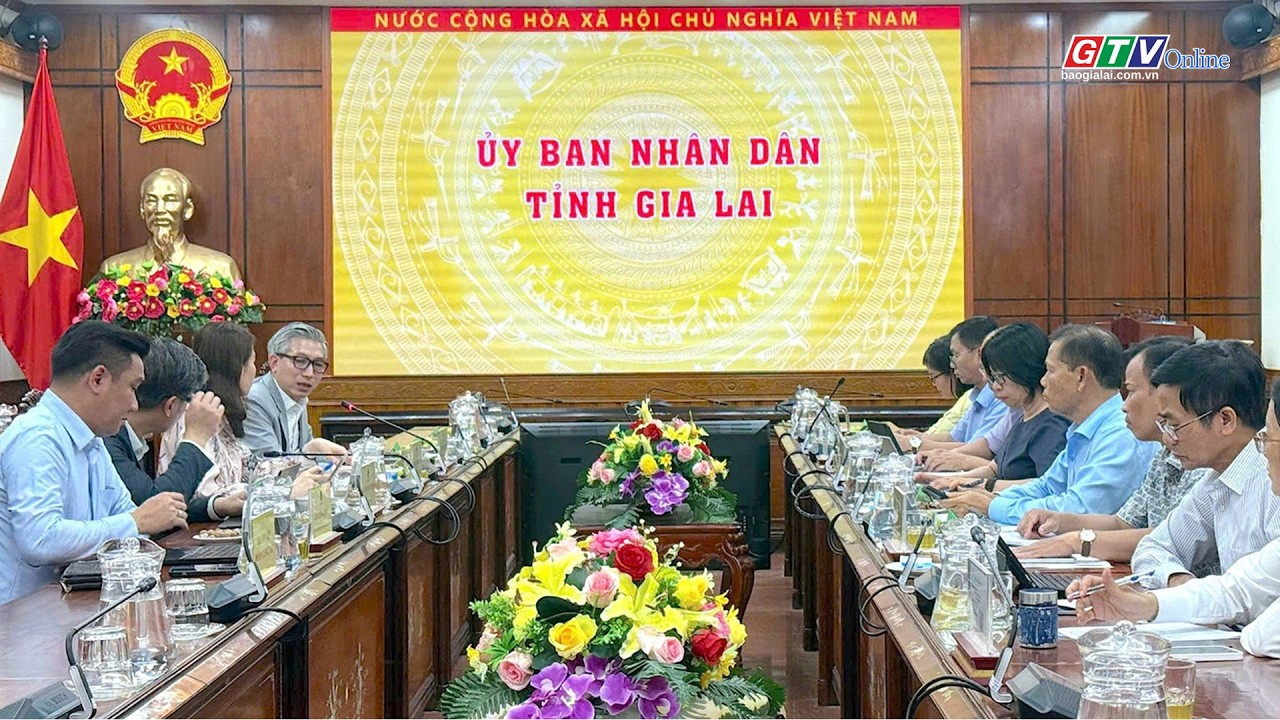 Gia Lai chủ động chuẩn bị điều kiện tham gia APEC 2027