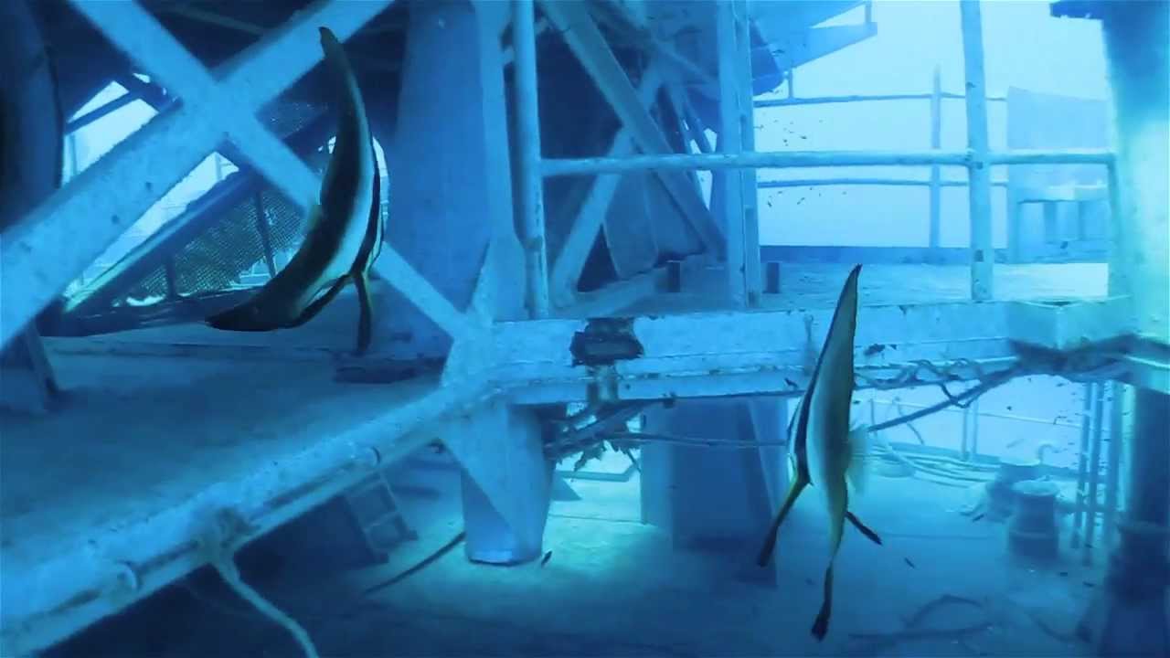 Scuba diving the HTMS Chang Wreck, Ko Chang, Thailand