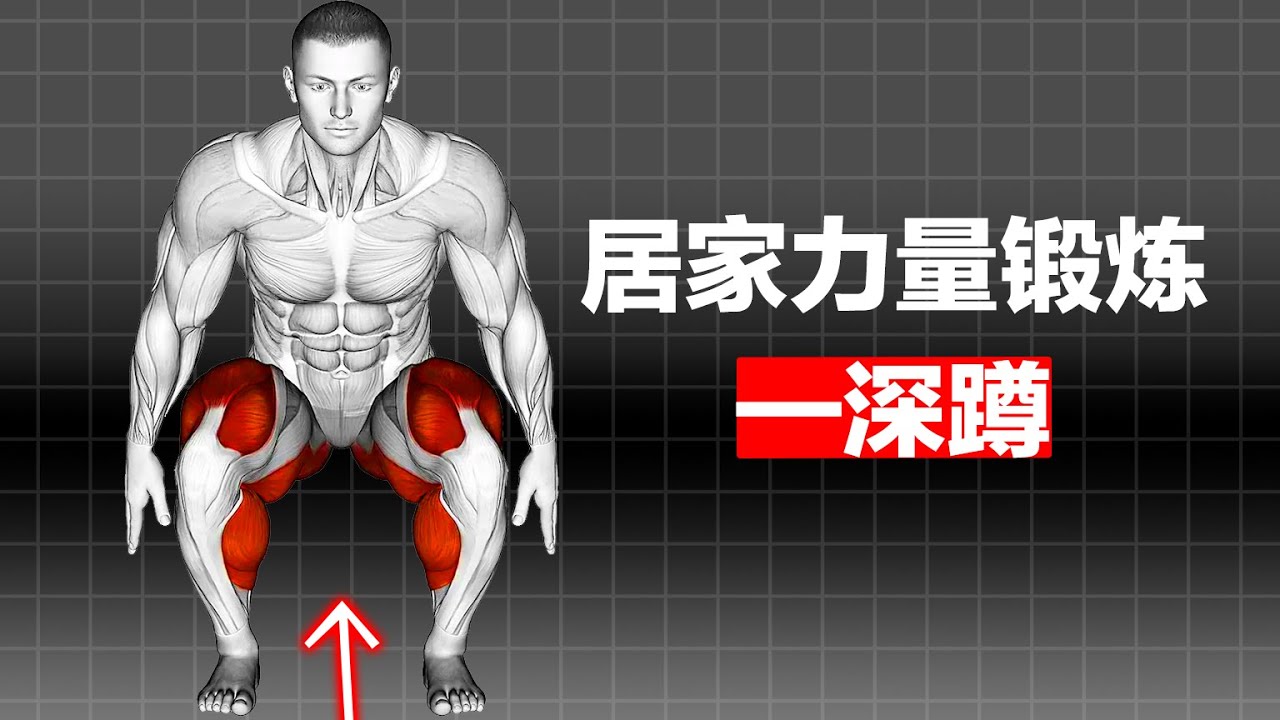 居家力量锻炼系列——深蹲：无需器械，用最经典的动作锻造你的力量