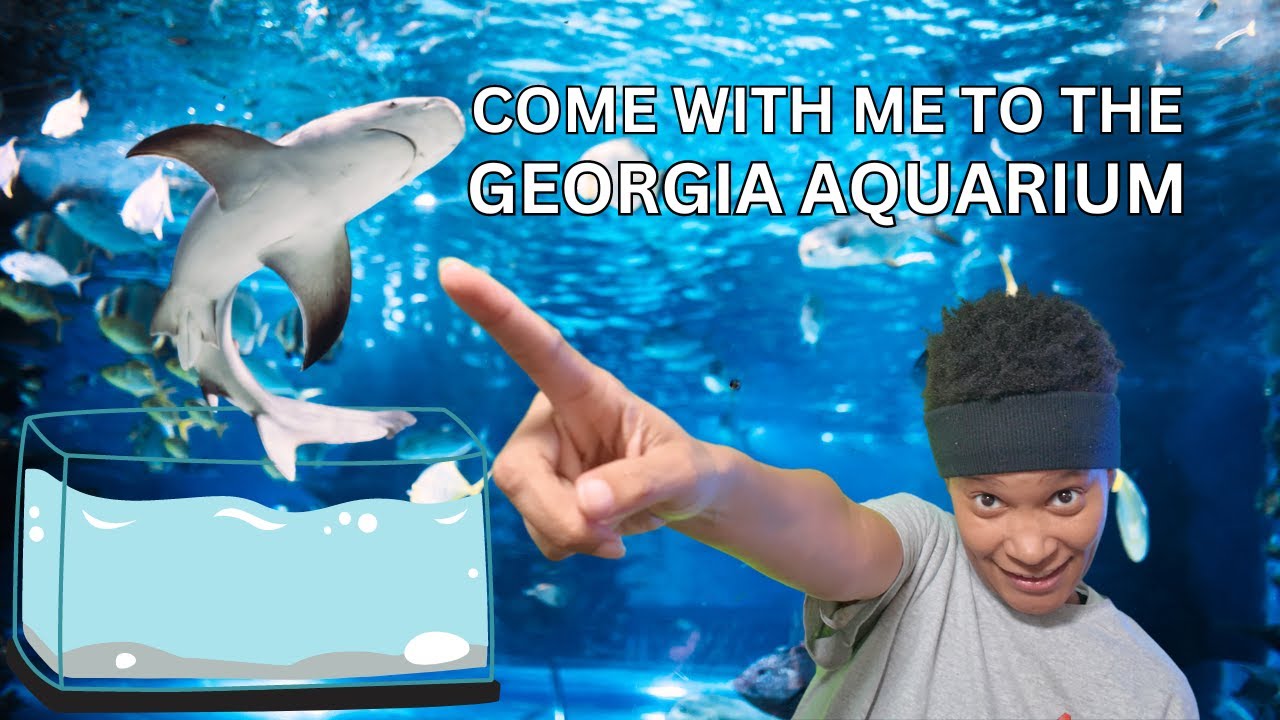 I Went To The World's Largest Aquarium
