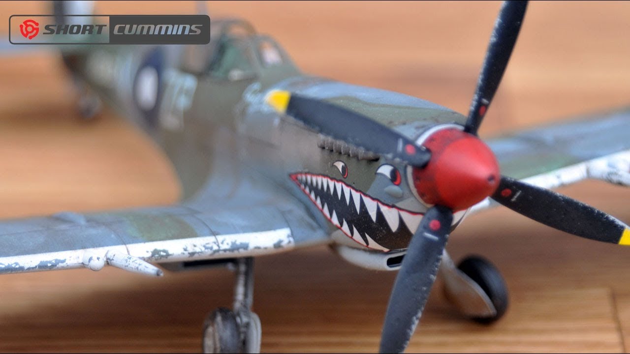 Eduard 1:48 Spitfire Mk.VIII