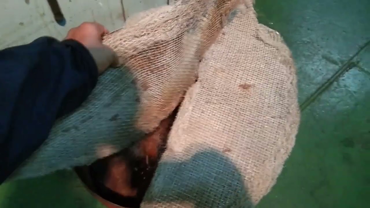 DEMISTER ( of Freshwater Generator)