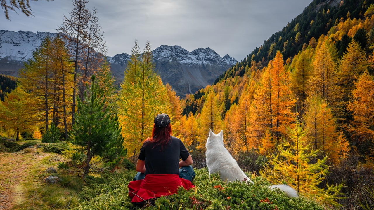 Autumn Swiss Alps: A Photographer's Dream - Golden Larches of Switzerland