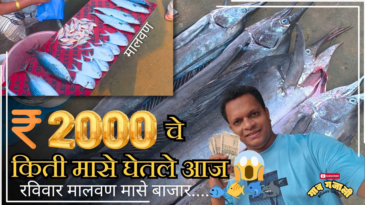 ₹२०००/- चे किती मासे घेतले आज😱💸🦈🐟🐬| SUNDAY Malvan Fish Market | खूप दिवसांनी बाजारात आलो 😊🛍️