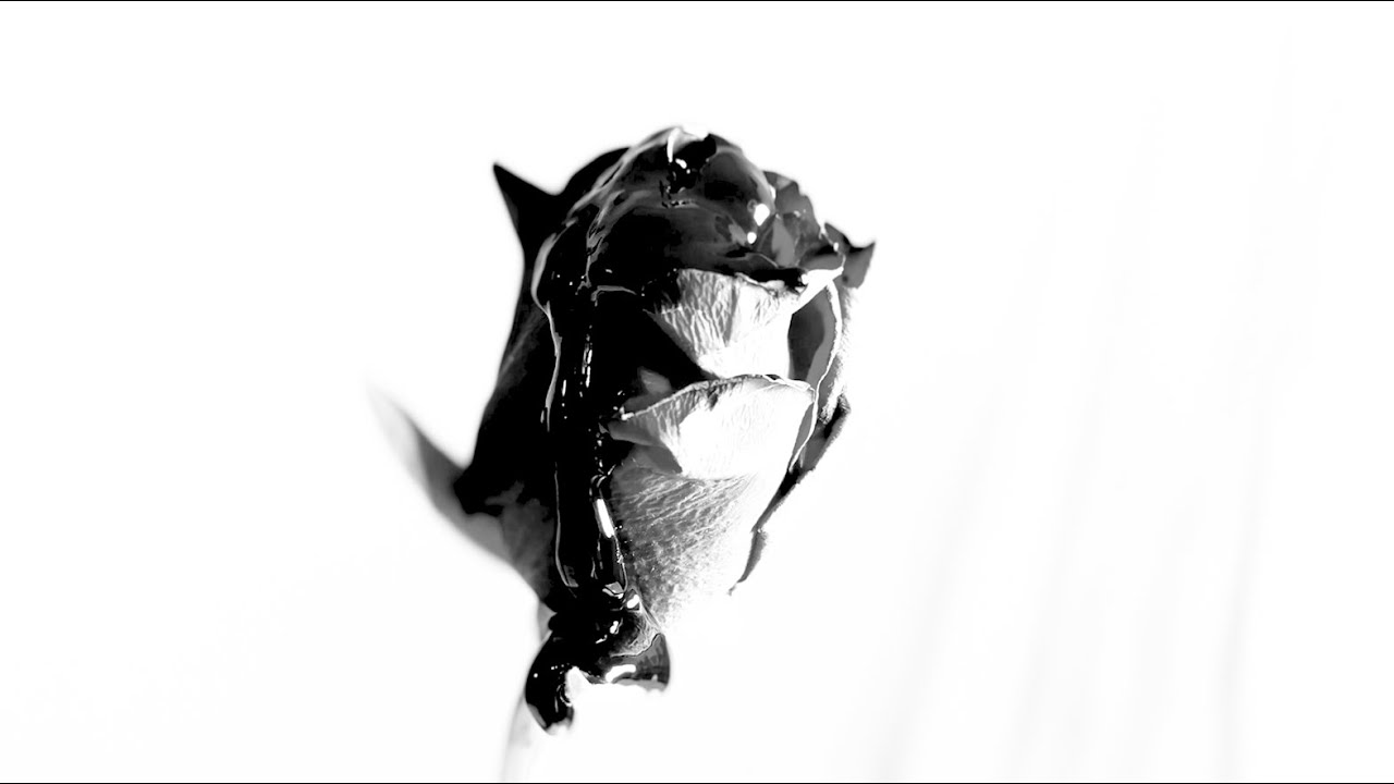 Blackened Rose - Official Music Video
