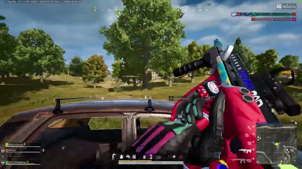 windieselpubgtage
