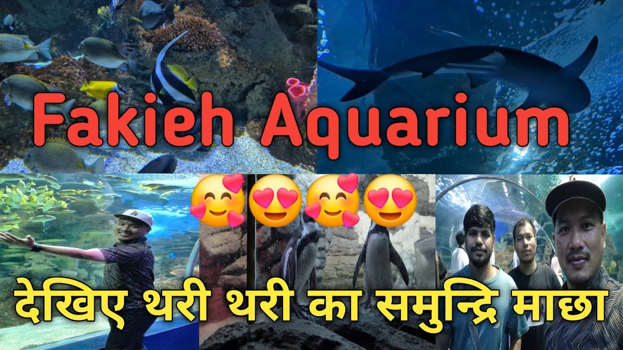 First Time Experience In Fakieh Aquarium🐟🐠🐬🐙🦈🦑🦭 #Saudi #Jeddah #Cornice🥰😍🥰