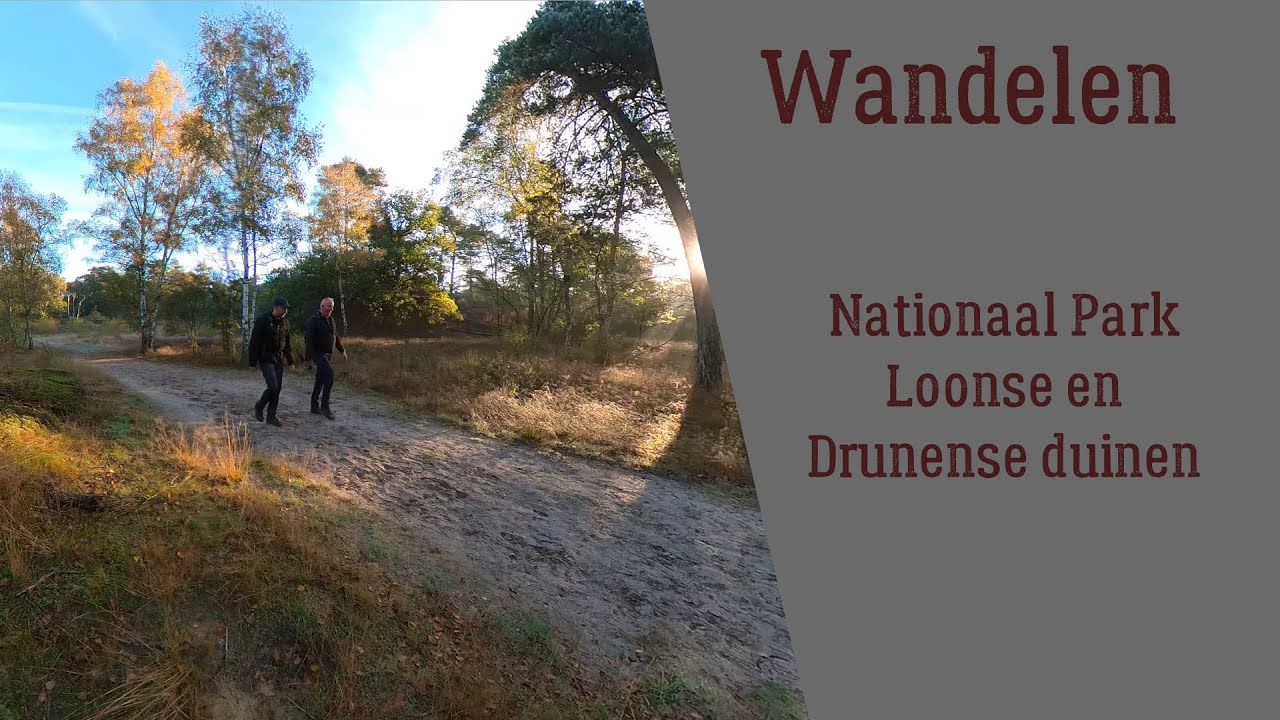 Wandelen Nationaal Park Loonse en Drunense Duinen (Brabantse Sahara)