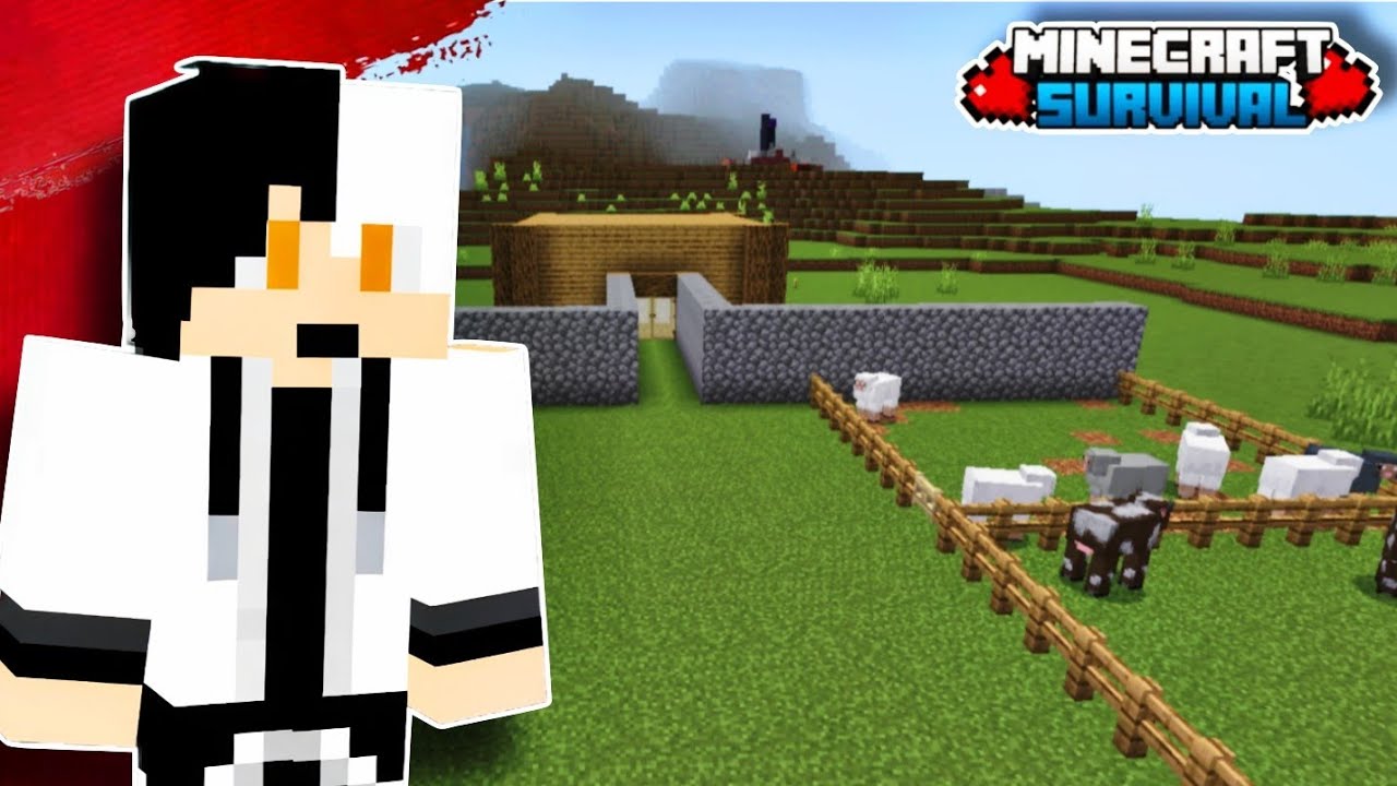 Finally!Farms Te Wall Bana liya | Minecraft Survival | Punjabi Gameplay