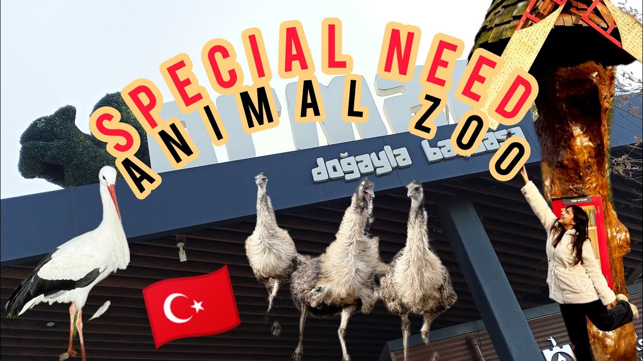 WILDLIFE LOVER? SPECIAL CARE FOR SPECIAL ANIMALS ❤️🇹🇷