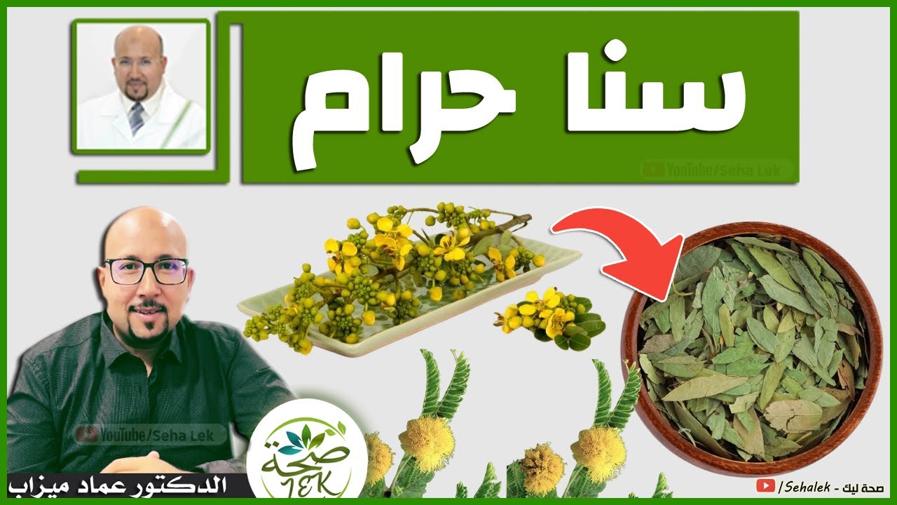 أضرار عشبة سنا حرام / د. عماد ميزاب Doctor imad mizab