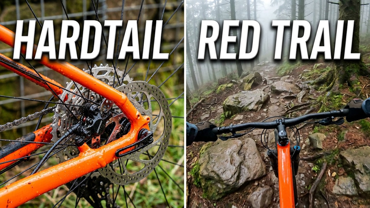 Cannondale Trail SE 3 - Definitely trail