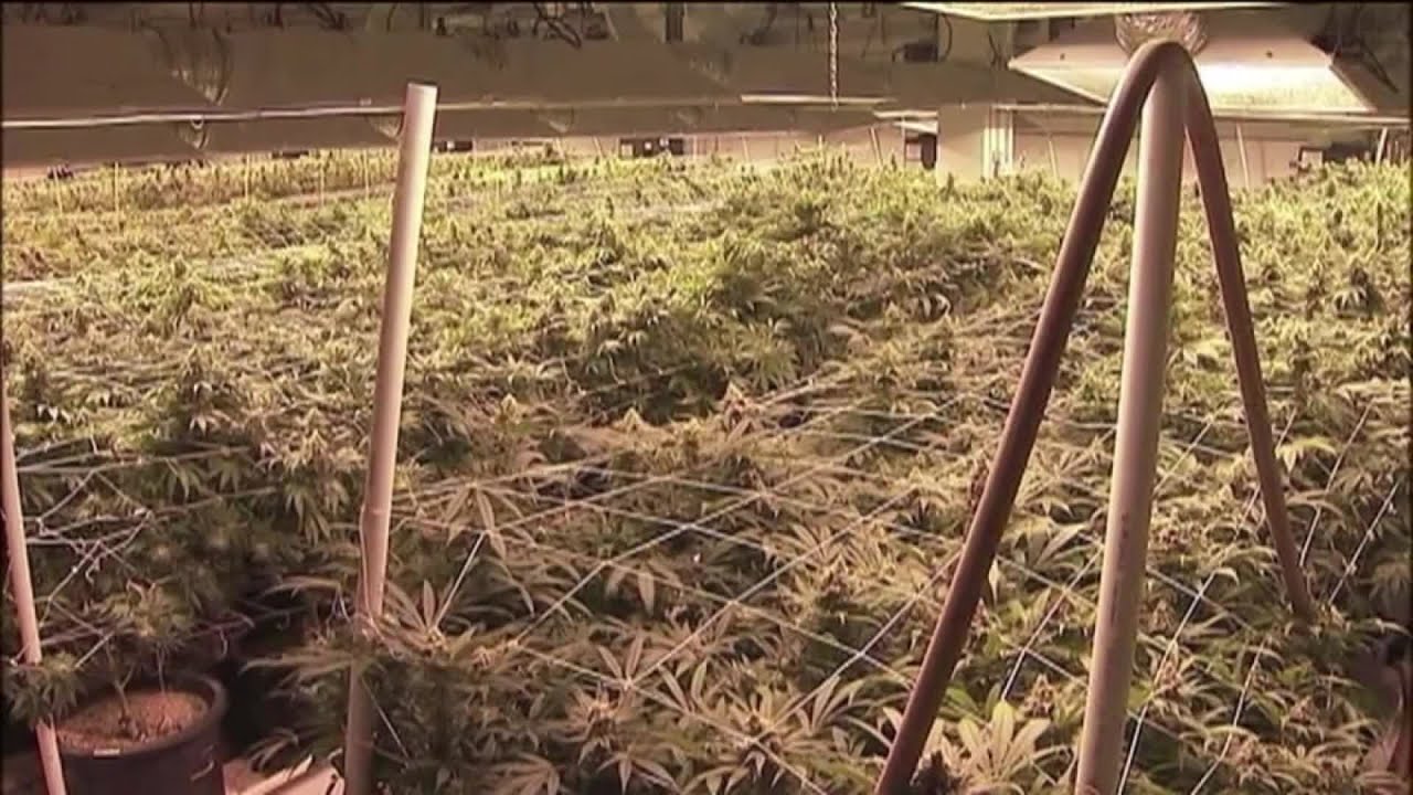 Push for medical marijuana kicks off SC legislative session