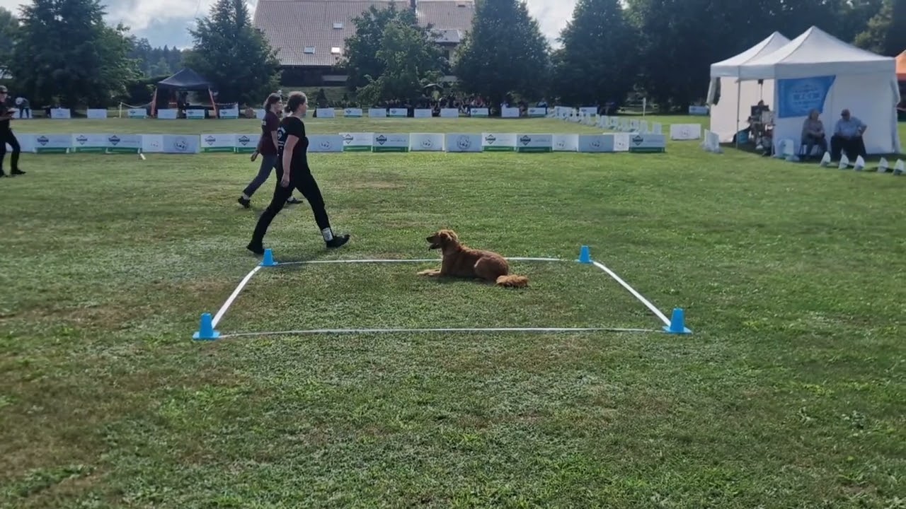Obedience World Championship Lettland 2024 - Kazz