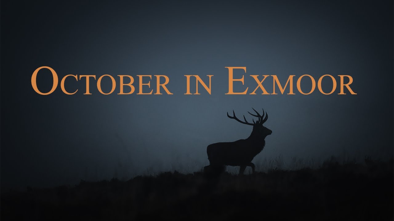 Autumn in Exmoor | 4K Travel Cinematic Video