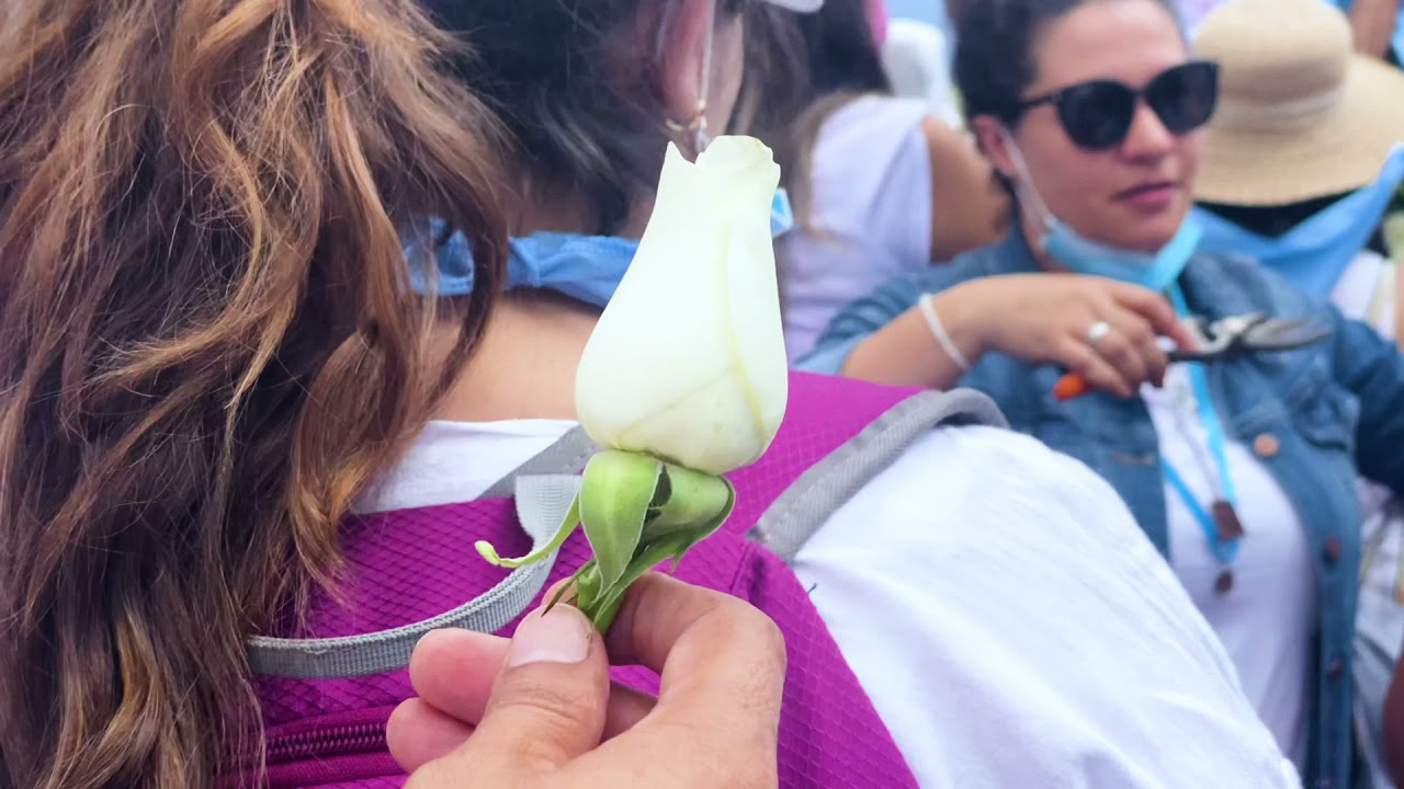 M&Eacute;XICO PROVIDA MARCHA GUADALAJARA 2021