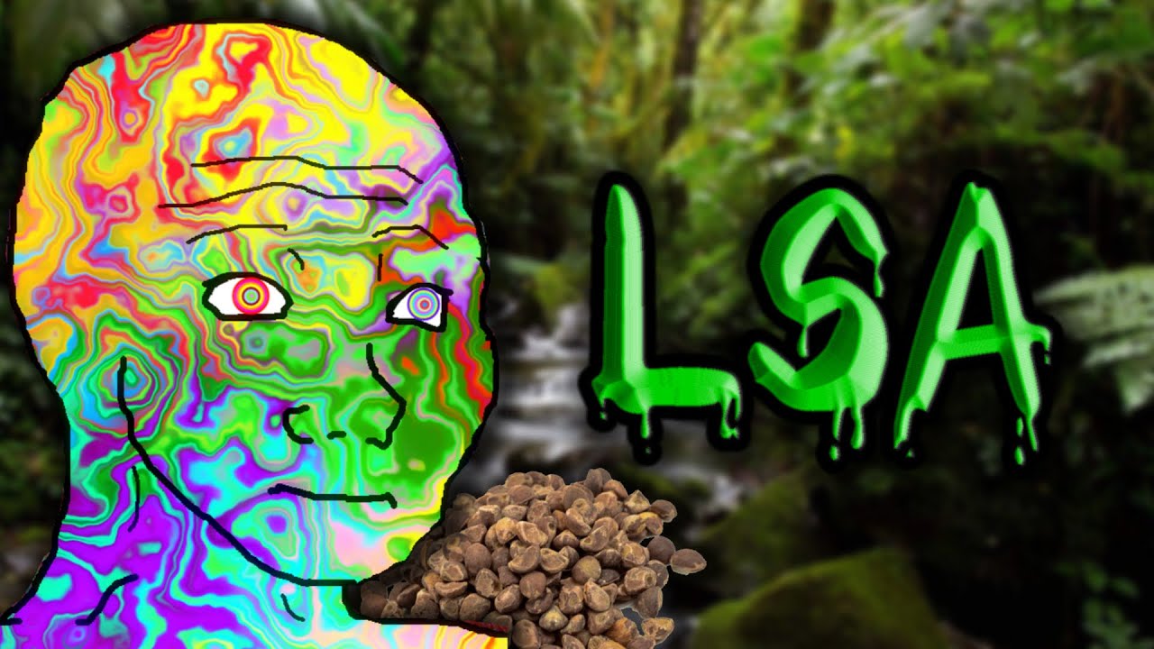 The Psychedelic Plant Seeds - LSA