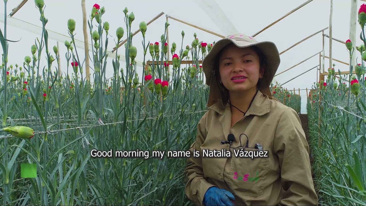 AGROINDUSTRIAL PRODUCTION PROCESS DON EUSEBIO