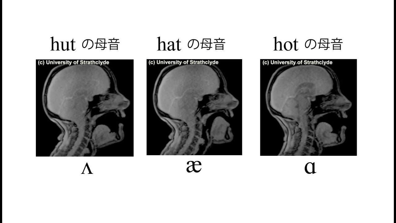 【発音ワンポイント：hut, hat, hot の違い】