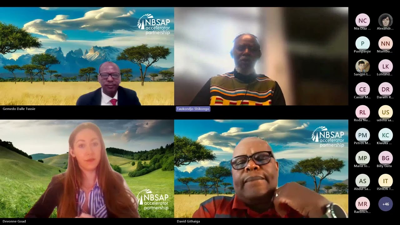 Accelerating NBSAP Implementation - Strengthening synergies between ABS and NBSAP AP &ndash; Webinar