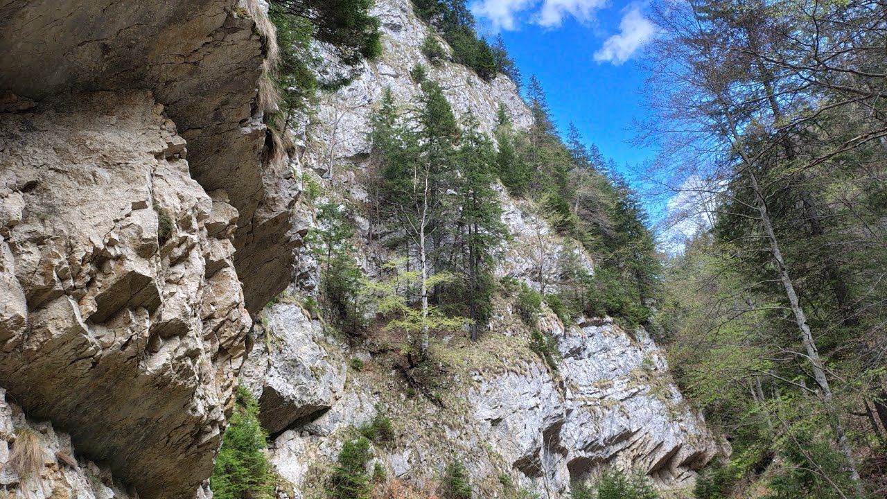 Cheile Brusturet (filmul)