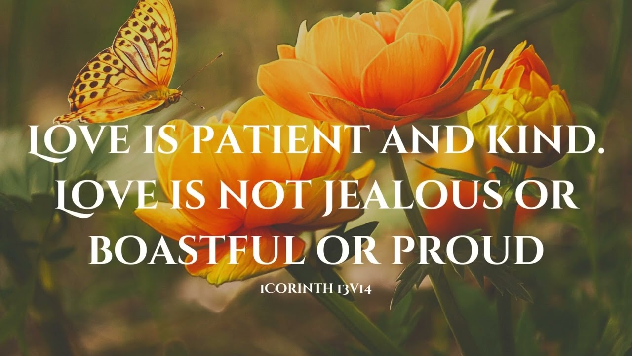 Love is patient and kind  Love is not jealous or boastful or proud 1Corinth 13v14 2