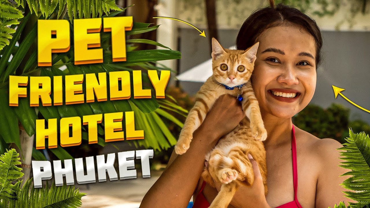 Anyone traveling with your pets?  Pet Friendly Hotel in Patong. Phuket.