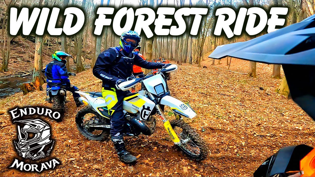 WILD FOREST RIDE #5 [Enduro Morava]