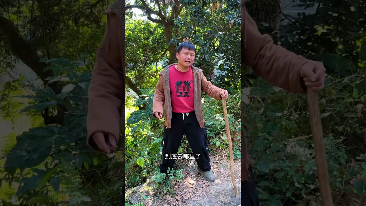 Work together to escape from the Wolf s den#The various aspects of society#Rural funny jok