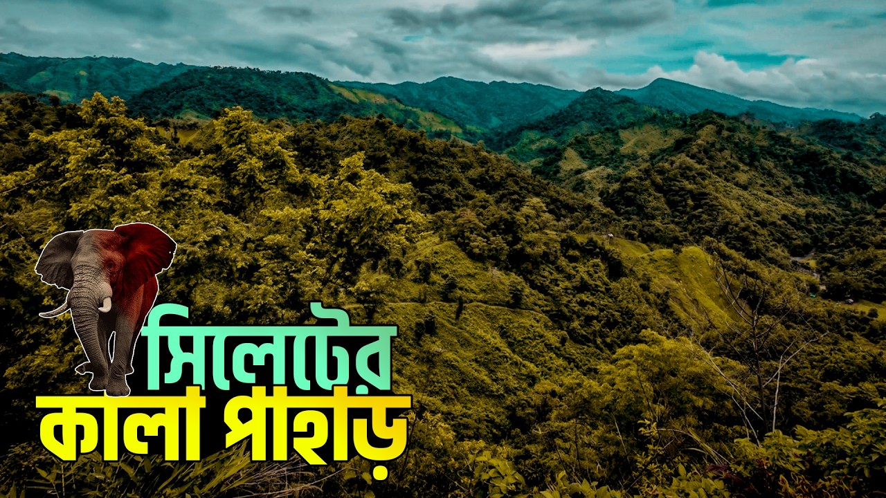 সিলেটের সর্বোচ্চ চূড়া বন্য কালা পাহাড় ভ্রমন অভিজ্ঞতা || Kala Pahar || কুলাউড়া || Sylhet Vlog