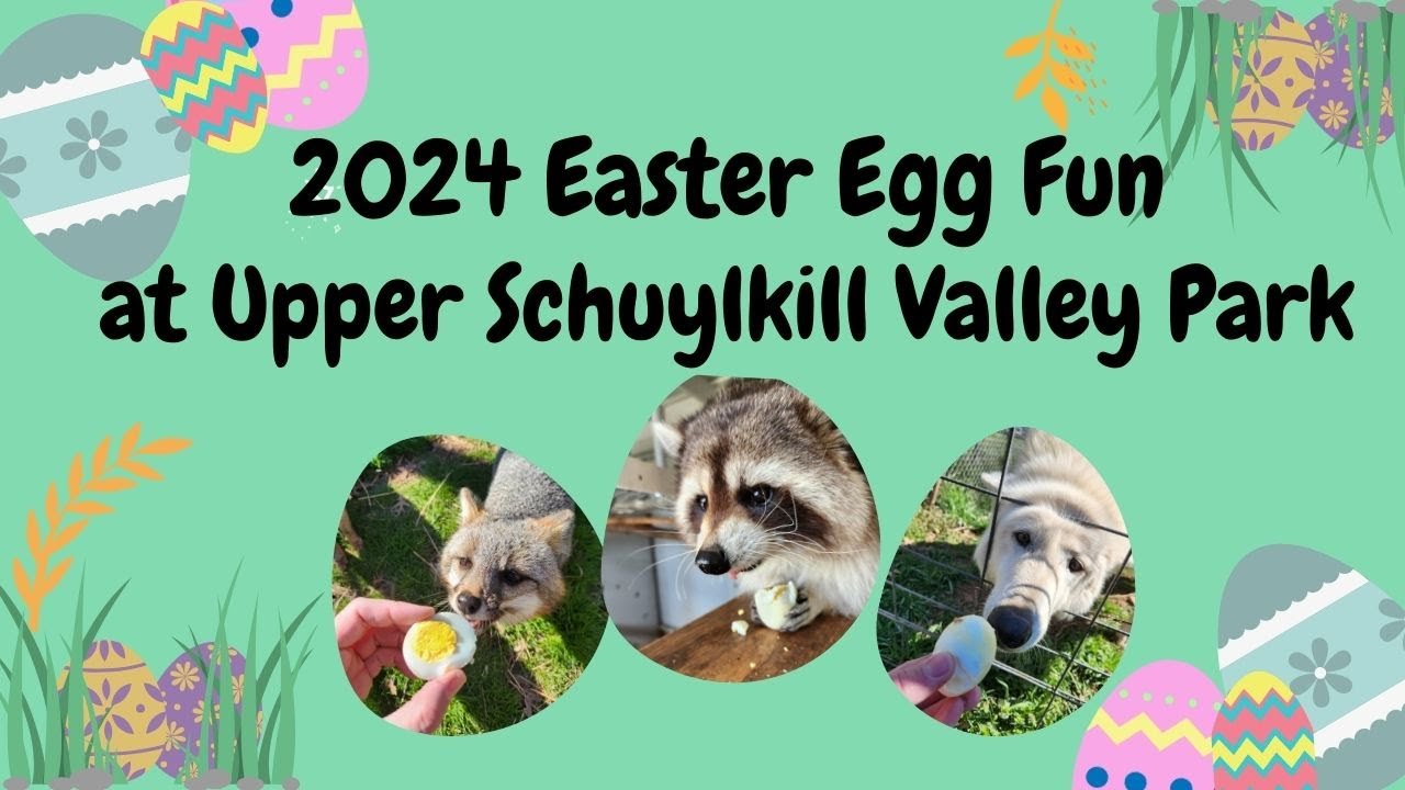 Easter Egg Fun at Upper Schuylkill Valley Park!