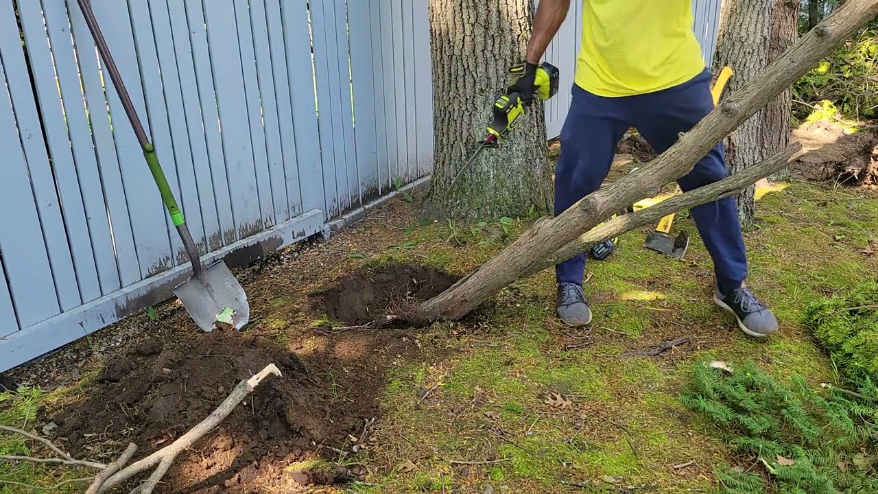 Cutting Down a Tree with RYOBI ONE+ HP One-Handed Saw in 15 minutes