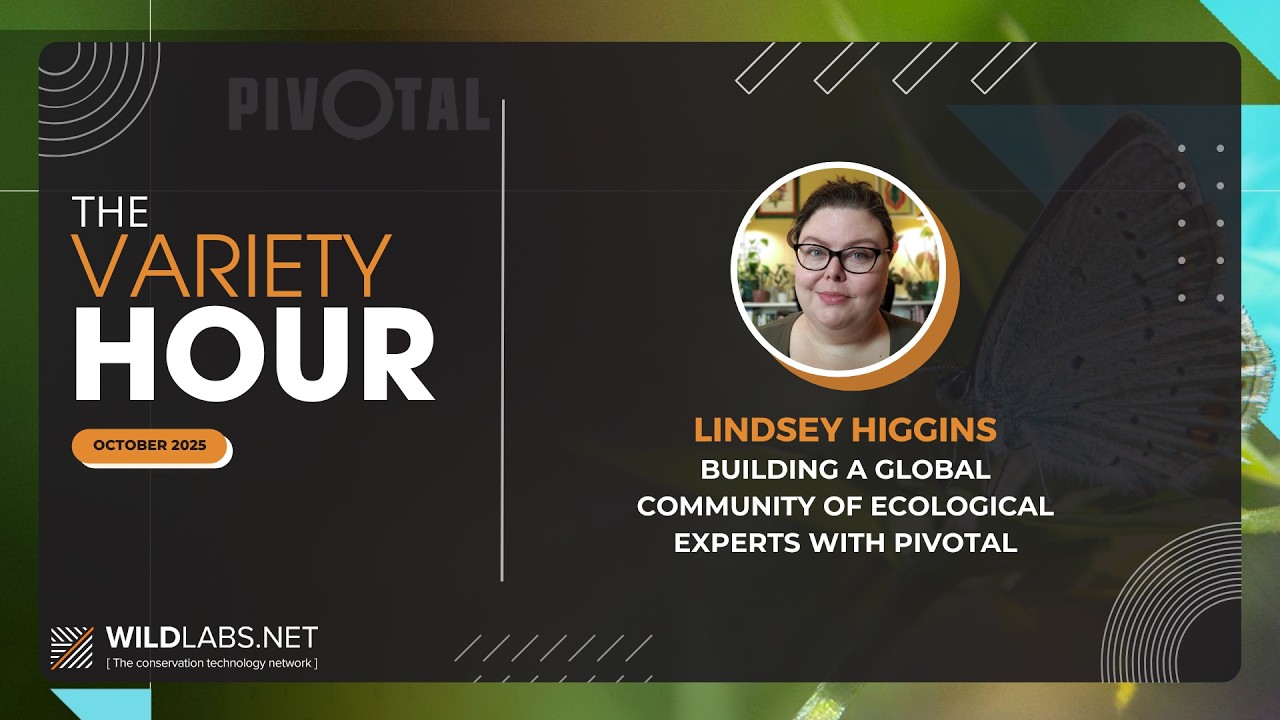 Lindsey Higgins: Building a global community of ecological experts with Pivotal