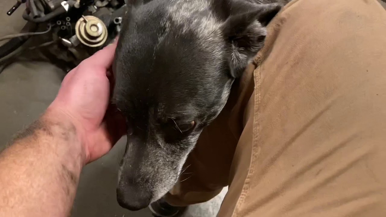 Alternator and Carburetor removal on the Old Prelude, part 1