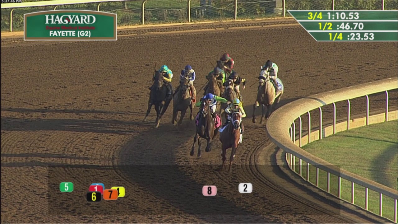2016 Hagyard Fayette (G2)