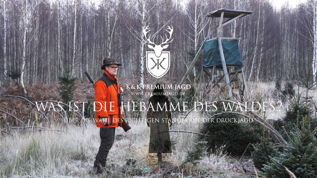 Drückjagd auf Sikawild im Arnsberger Wald - Über die Wahl des richtigen Standes | K&K Premium Jagd