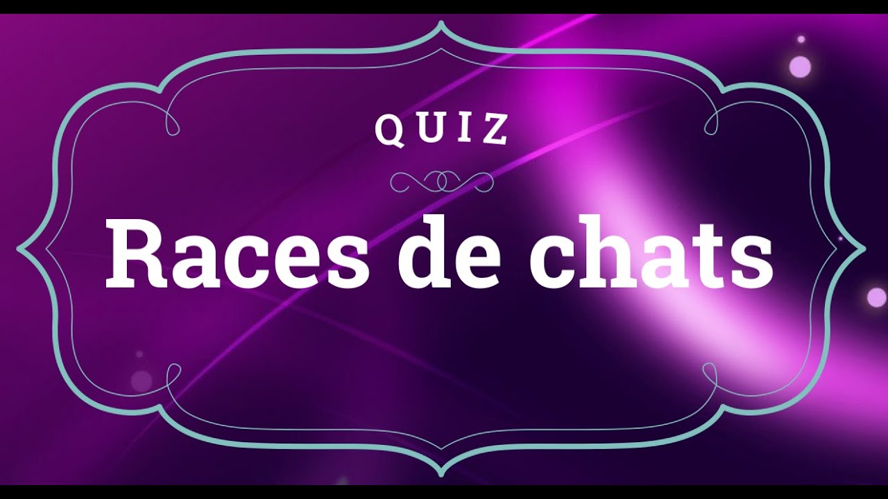 Quiz - Races de chats