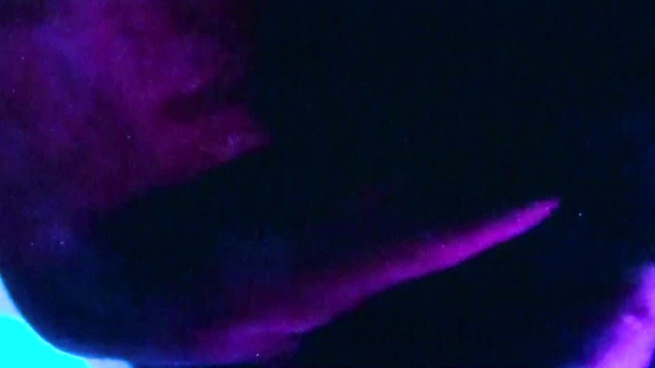 Knochengesicht - Watch the World