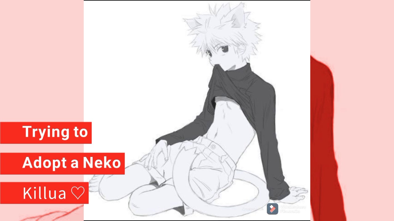Trying to Adopt a Neko Killua ♡ Part 1; Neko Killua x Listener ASMR Killua ASMR