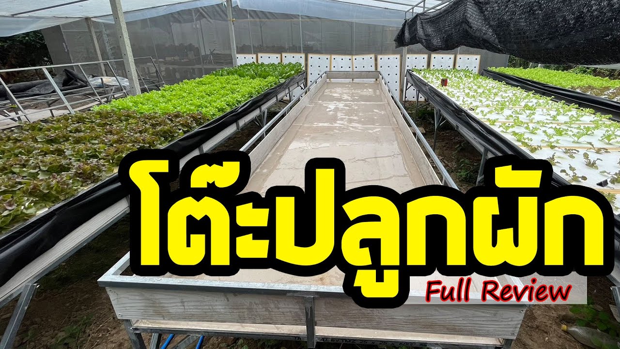 รีวิวโต๊ะปลูกผักไฮโดร Full review